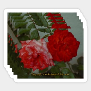 Stay Soft (Roses) Sticker